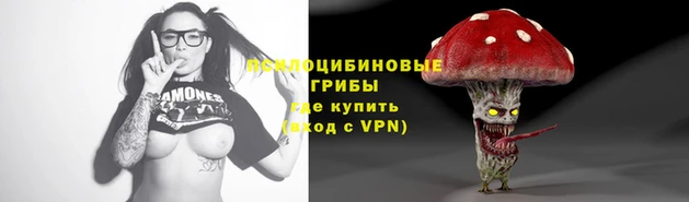 бошки Алзамай