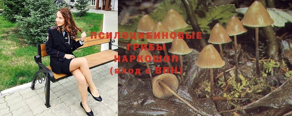 бошки Алзамай