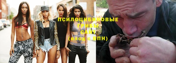 бошки Алзамай