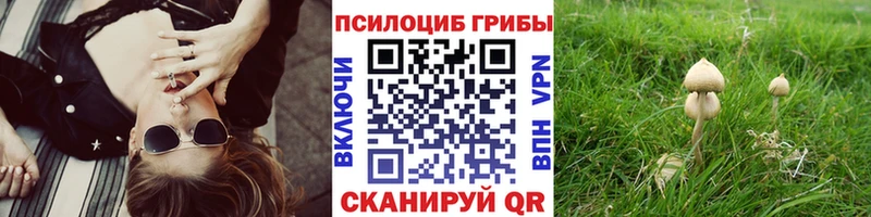ссылка на мегу   Ясный  Псилоцибиновые грибы GOLDEN TEACHER 
